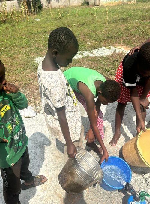 WhatsApp Image 2025-12-11 at 14.44.20